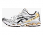 asics Zapatilla gel-kayano 14